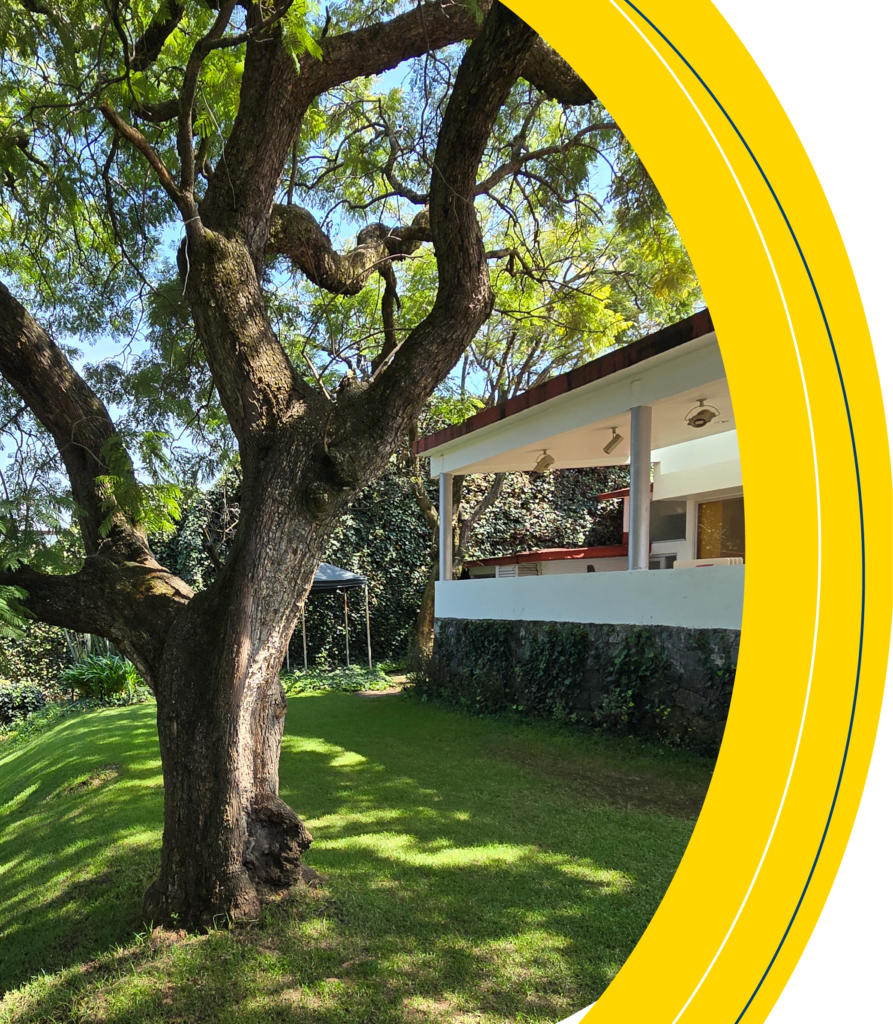 portada_pag_inicio_Mesa de trabajo 1